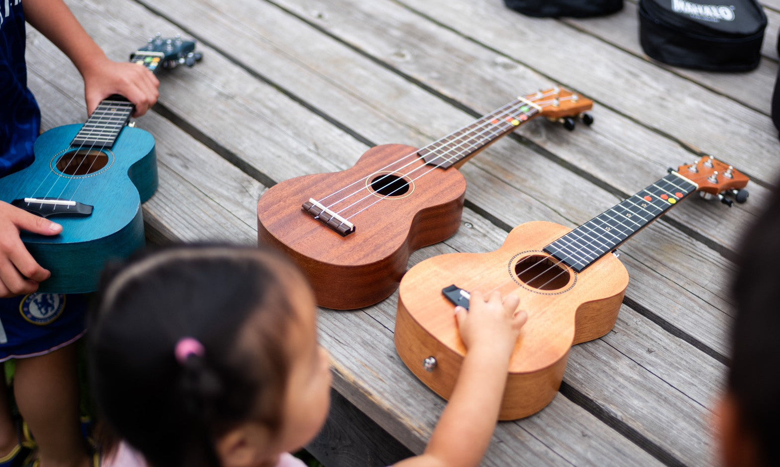 Minim Camp Terms and Conditions