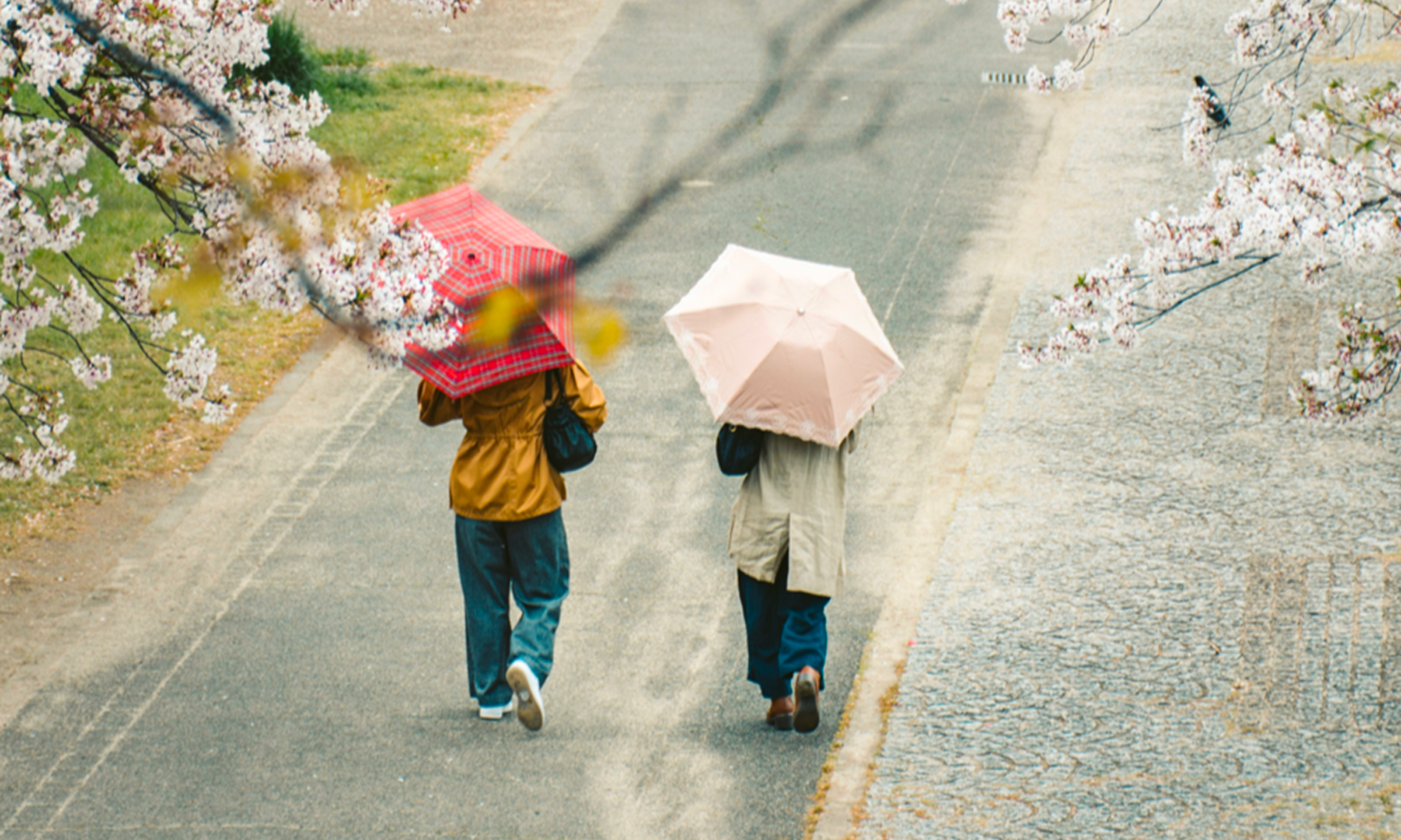 The Reality of Learning Japanese in Tokyo